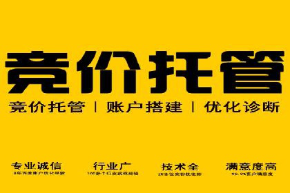 SEM外包助力企业业绩增长案例